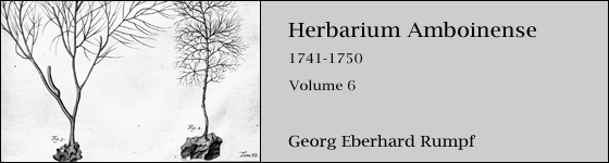  - Herbarium amboinense: Volume 1