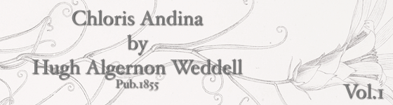 Weddell, Hugh Algernon - Chloris andina : essai d'une flore de la rgion alpine des Cordillres de l'Amrique du Sud / par H.A. Weddell.