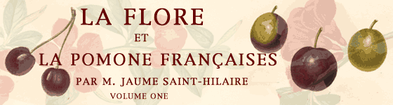  - La flore et la pomone franaises : histoire et figure en couleur,des fleurs et des fruits de France ou naturaliss sur le sol franais