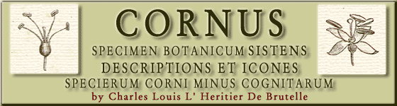  - Cornus : specimen botanicum sistens descriptiones et icones specierum corni minus cognitarum / Car. Lud. L'Hritier, Dom. de Brutelle.