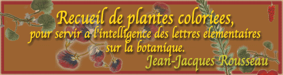  - Recueil de plantes coloriees, pour servir a l'intelligence des lettres elementaires sur la botanique.