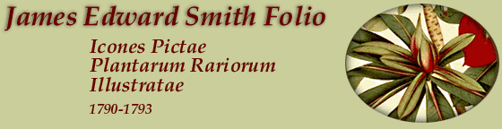  - Icones pictae plantarum rariorum descriptionibus et observationibus illustratae / Auctore J.E. Smith, M.D. Fasc. 1-3.