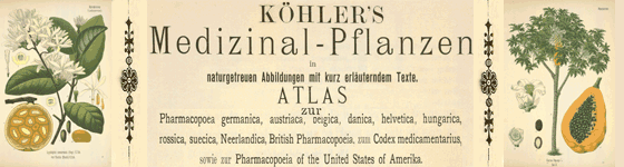  - Khler's Medizinal-Pflanzen in naturgetreuen Abbildungen mit kurz erluterndem Texte : Atlas zur Pharmacopoea germanica,