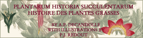  - Plantarum historia succulentarum = Histoire des plantes grasses / par A.P. Decandolle ; avec leurs figures en couleurs, dessines par P.J. Redout.